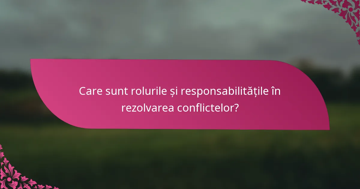 Care sunt rolurile și responsabilitățile în rezolvarea conflictelor?